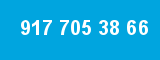 917 705 38 66